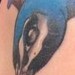Tattoos - Peacock Color Tattoo - 43373